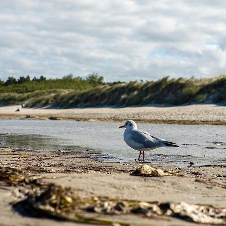 Bickbeeren Fewo Bickbeeren Barbara Whg 5 Dierhagen Eksteriør billede